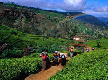 Sri lanka